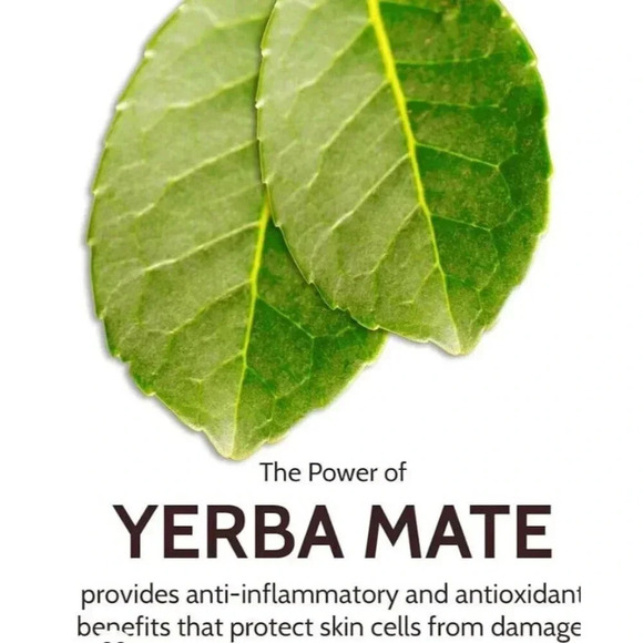 Yerba Mate Radiance Eye Cream: Dark Circle Defense & Instant Puffiness Reduction - Picture 7 of 7